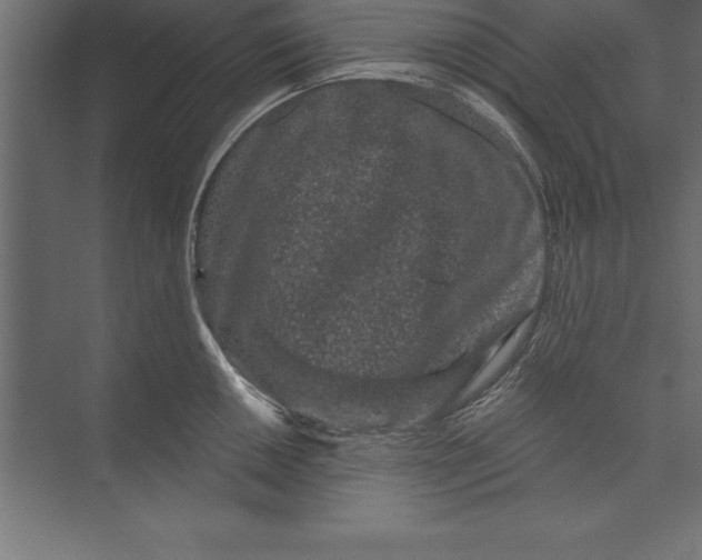 X0000073401050200608181024