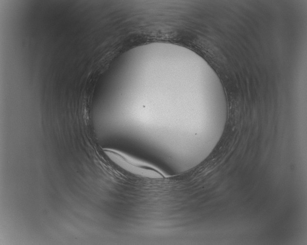 X0000073401058200608181023