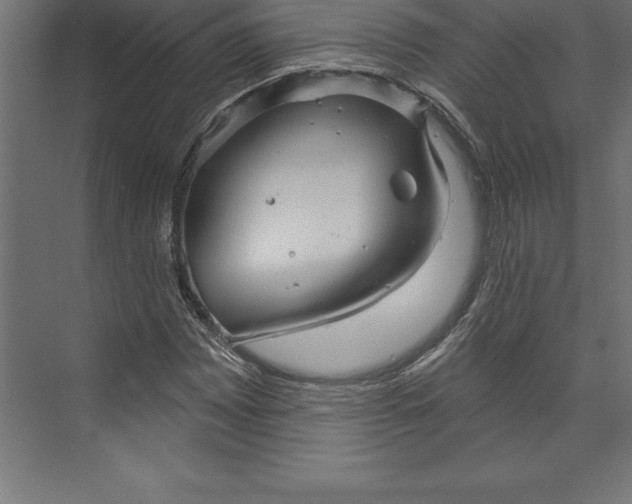 X0000073401065200608181023