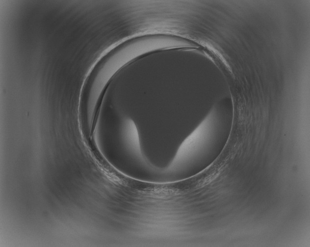X0000073401077200608181023