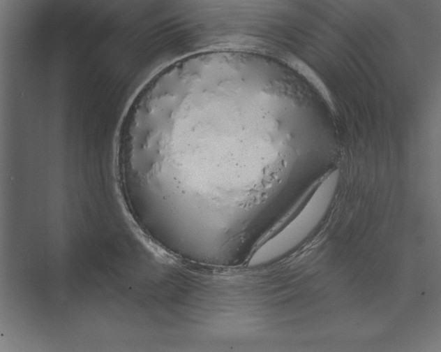 X0000073401099200608181023