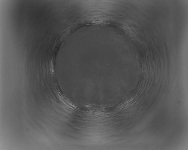 X0000073401106200608181022