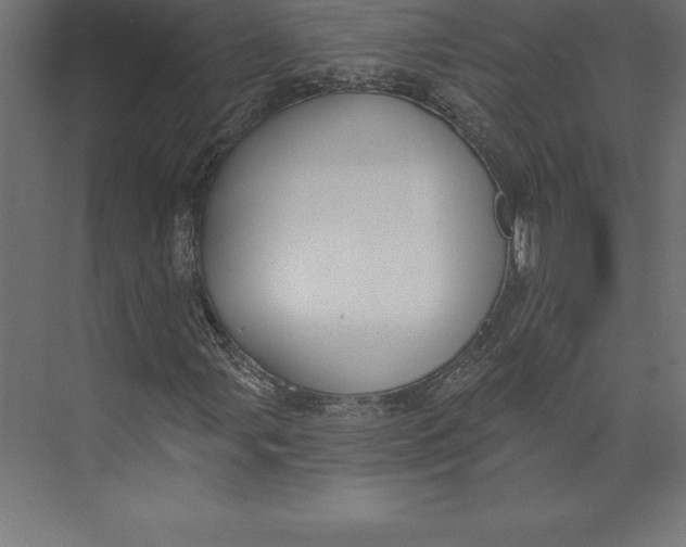 X0000073401107200608181022