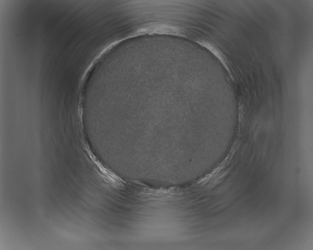 X0000073401115200608181022