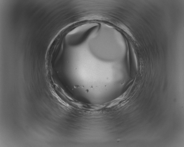 X0000073401116200608181022