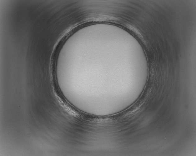 X0000073401122200608181022