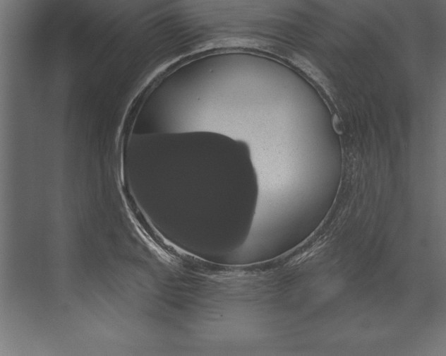 X0000073401127200608181022