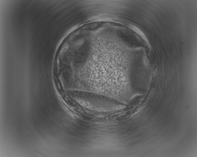 X0000073401146200608181023