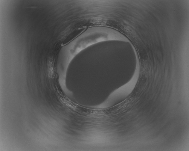 X0000073401154200608181022