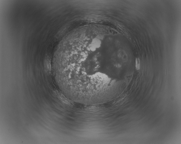 X0000073401155200608181022