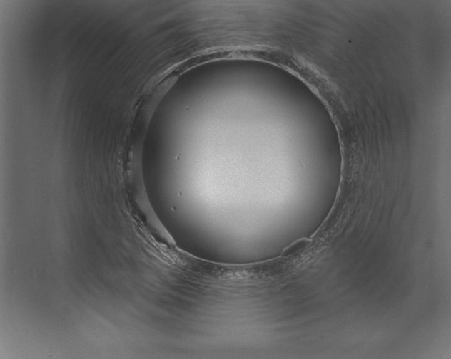X0000073401169200608181022