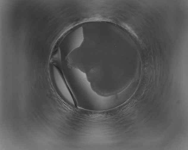 X0000073401173200608181022