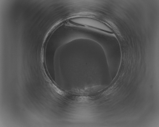 X0000073401180200608181021