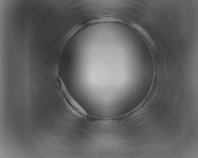 X0000073401193200608181021