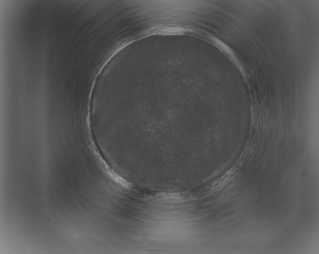 X0000073401194200608181021
