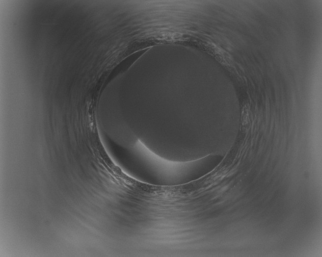 X0000073401202200608181020