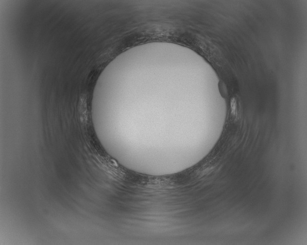 X0000073401203200608181020