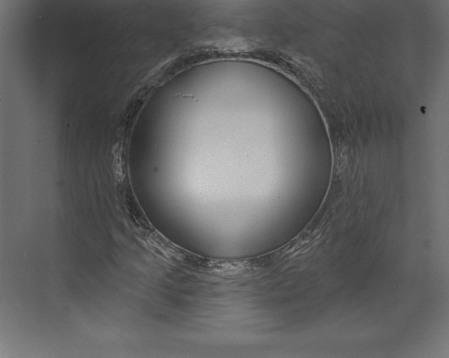 X0000073401205200608181020