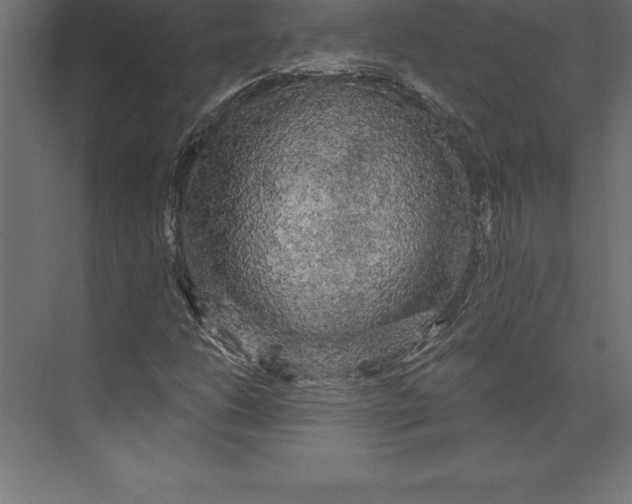 X0000073401206200608181020