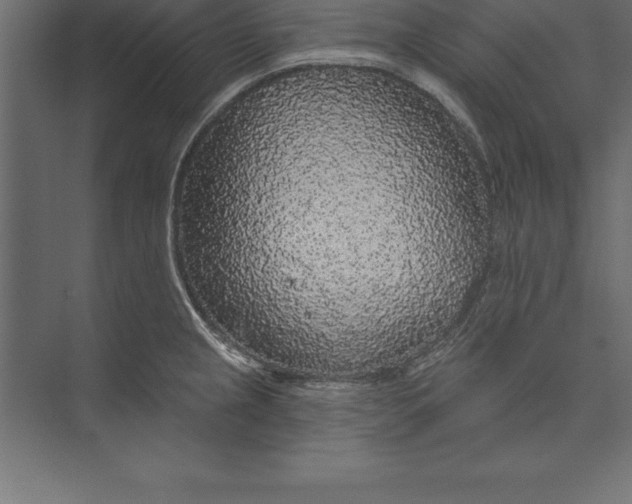 X0000073401237200608181021