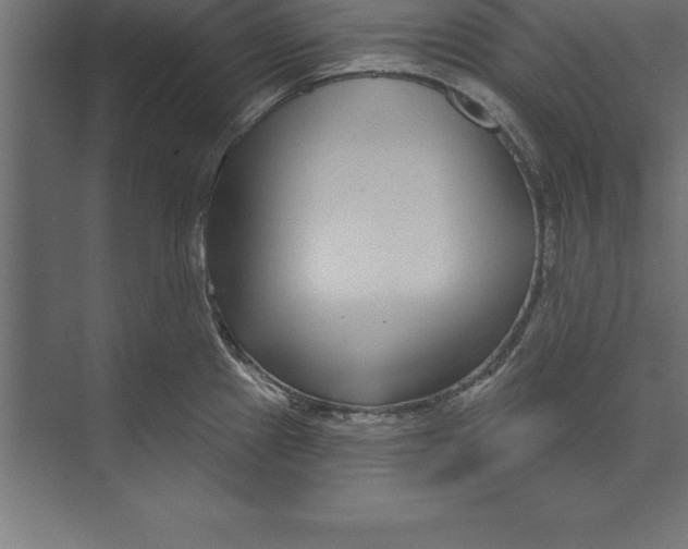 X0000073401241200608181021