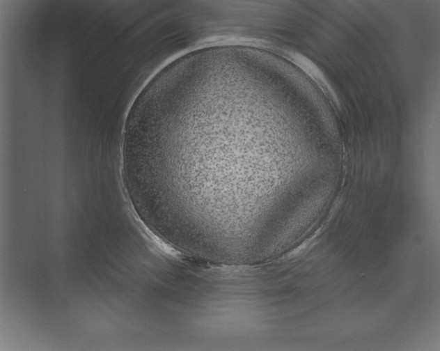 X0000073401244200608181021