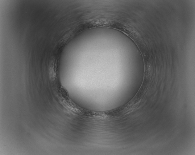 X0000073401250200608181020