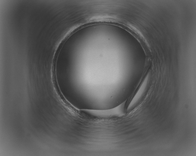 X0000073401277200608181020
