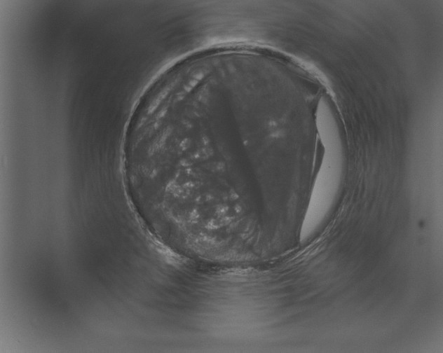 X0000073401279200608181020