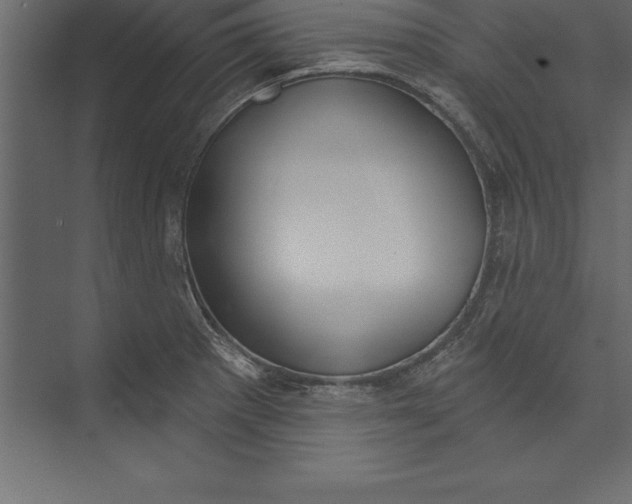 X0000073401281200608181020