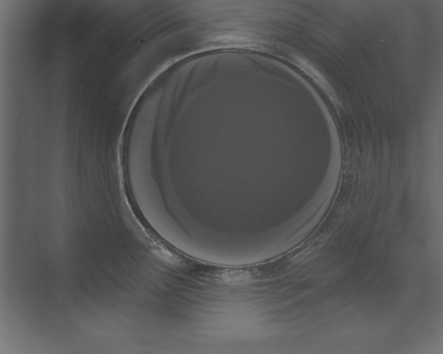 X0000073401291200608181020