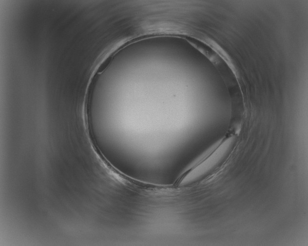 X0000073401293200608181019