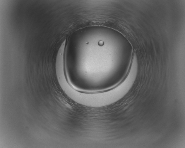 X0000073401298200608181019
