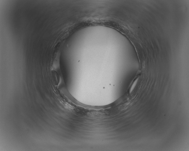 X0000073401300200608181019