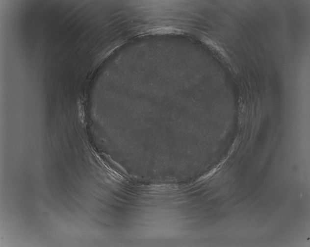 X0000073401305200608181019