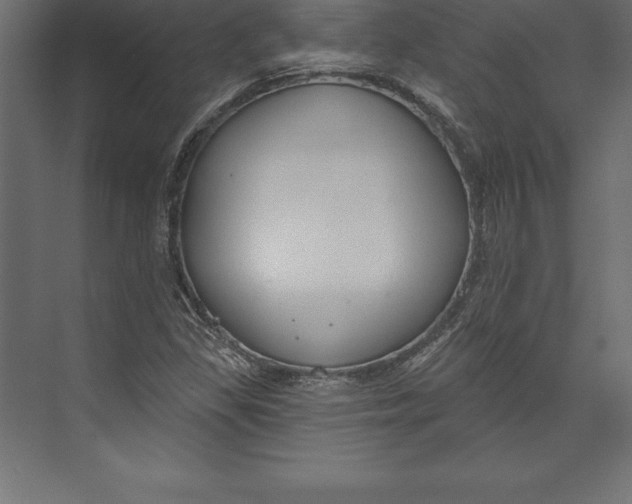 X0000073401309200608181019