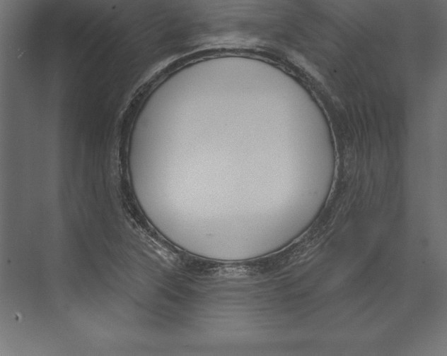X0000073401315200608181019
