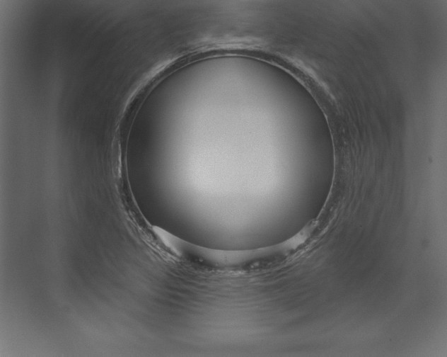 X0000073401317200608181019