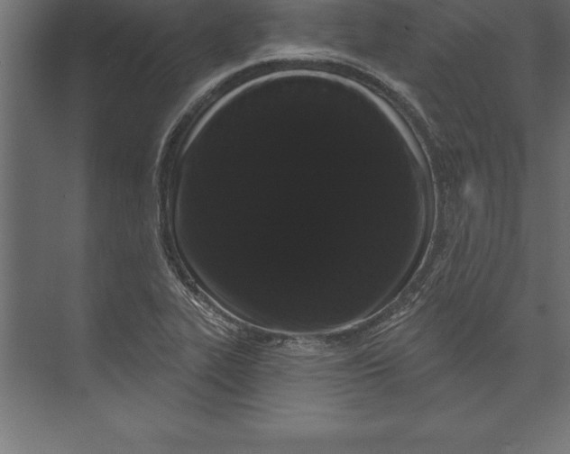 X0000073401319200608181019