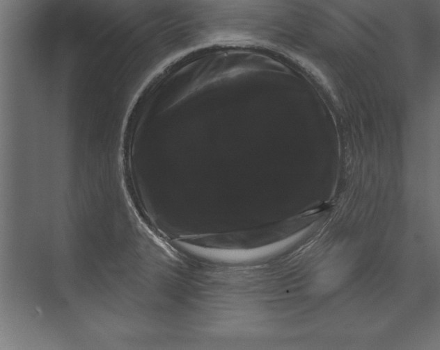 X0000073401327200608181019