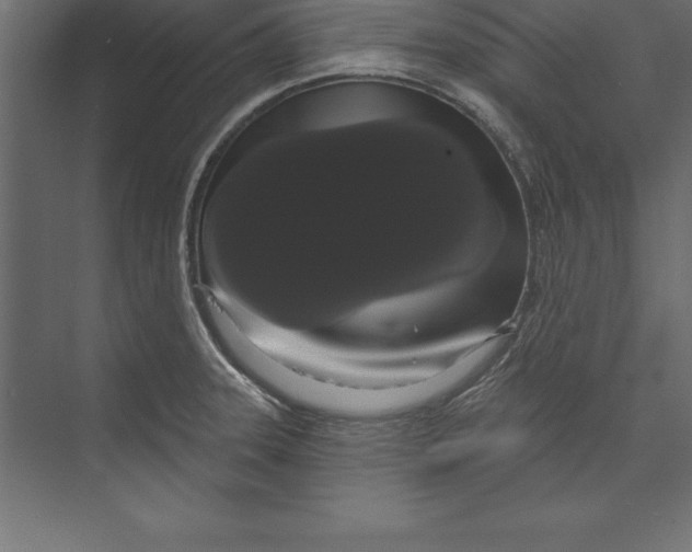 X0000073401331200608181019