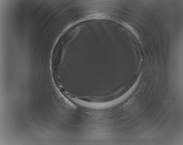 X0000073401334200608181019
