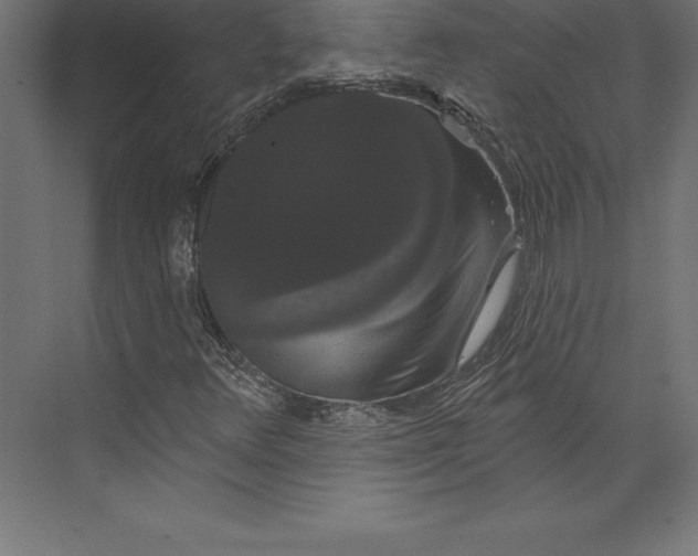 X0000073401348200608181019