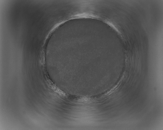 X0000073401358200608181018
