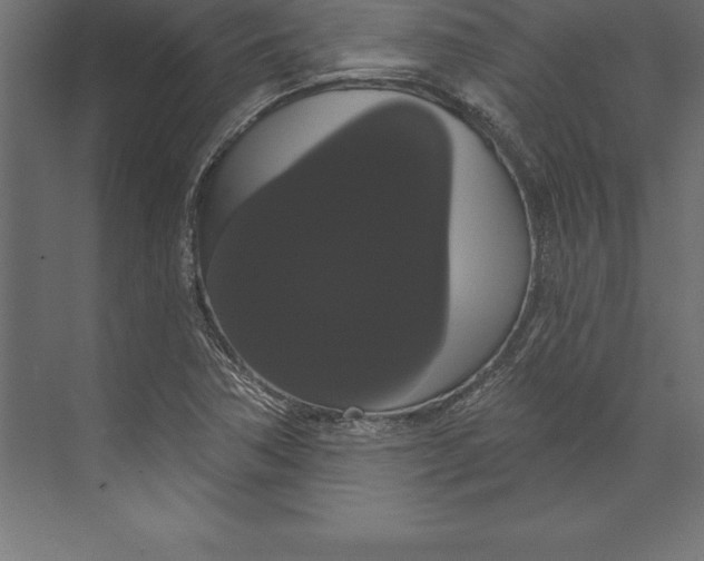 X0000073401362200608181018