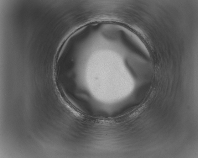 X0000073401374200608181018