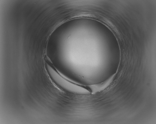 X0000073401377200608181018