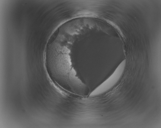 X0000073401383200608181018