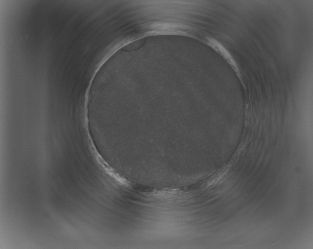 X0000073401386200608181018
