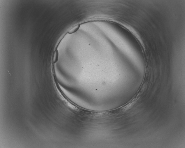 X0000073401390200608181018